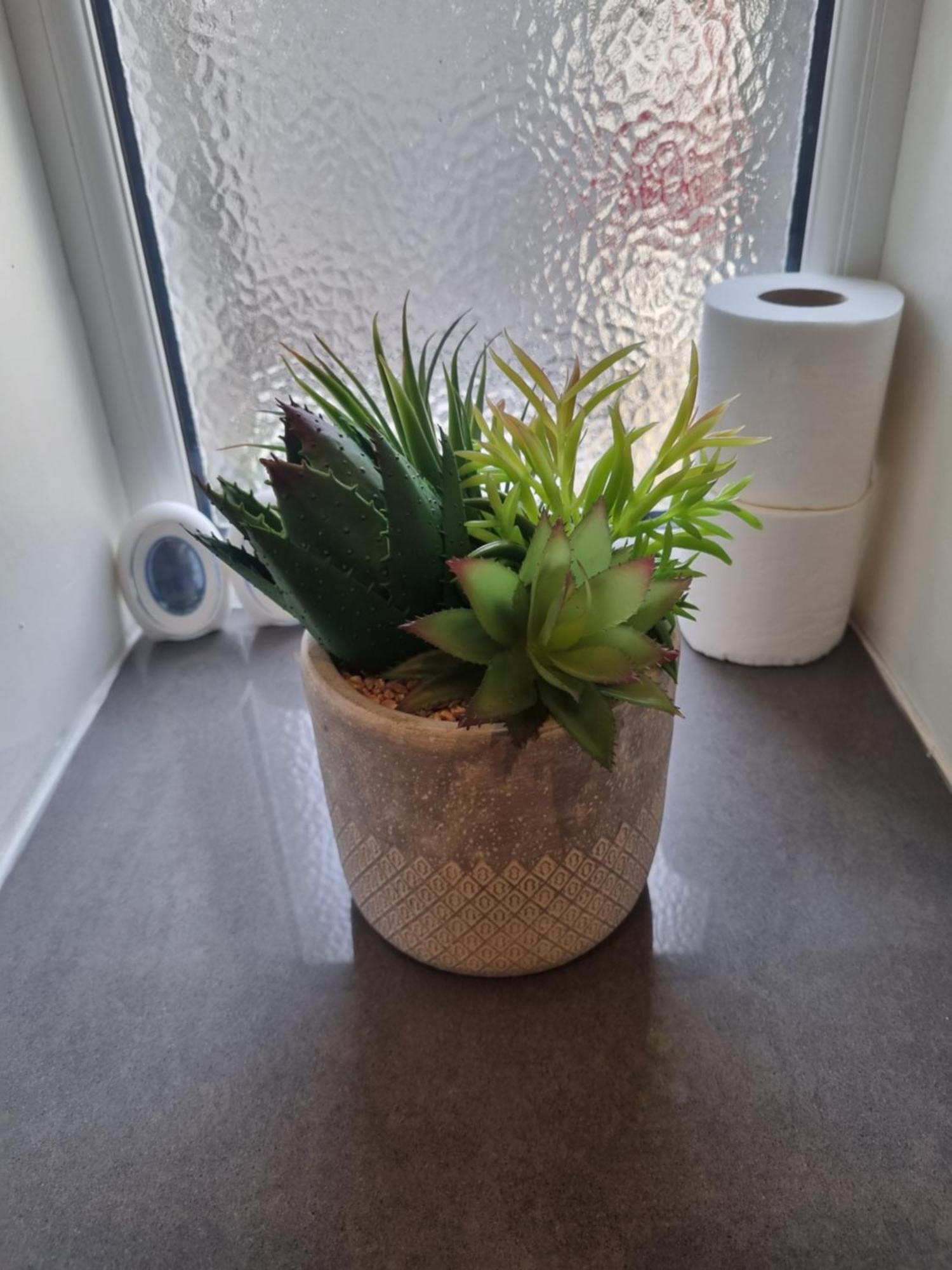 Oban Lorne Apartment מראה חיצוני תמונה